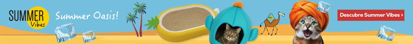 Summer Vibes: Los productos más refrescantes de la nueva colección de verano para gato
