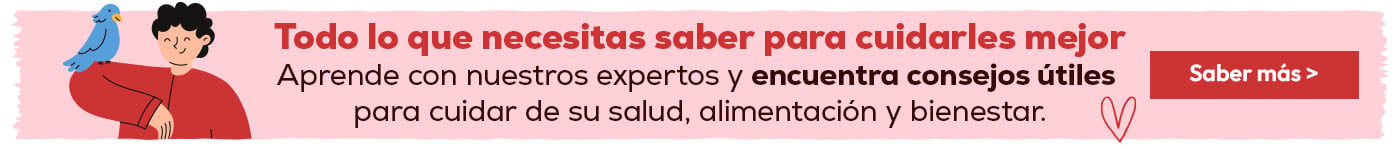 consejos para cuidarlos