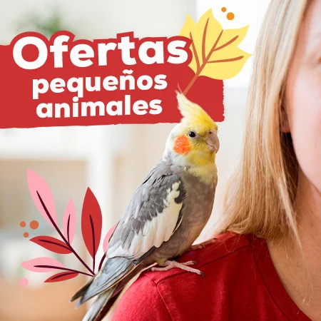 Ofertas para pequeños animales