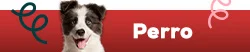 Descubre las marcas más animal lovers para perro