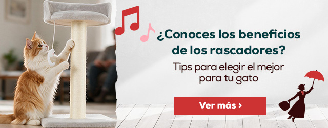 Tips para elegir el mejor rascador para tu gato