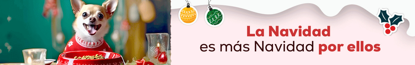 Navidad