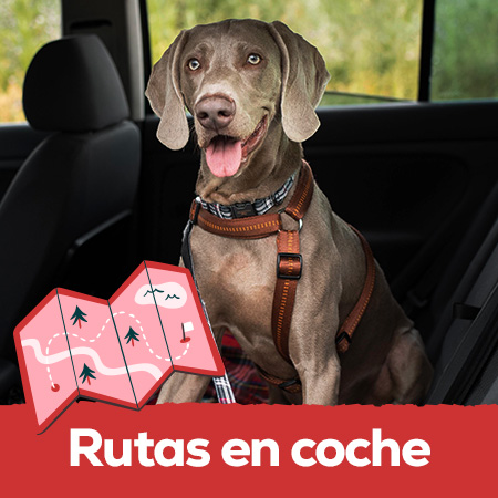 Rutas en coche