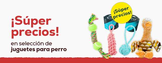 Juegos de inteligencia para perros kiwoko store
