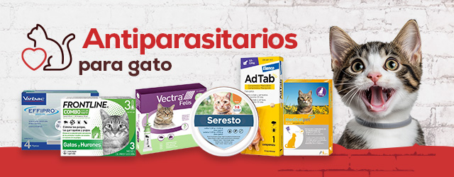 Antiparasitarios Gato