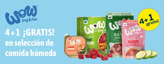 Wow: 4 + 1 gratis en selección de húmedo