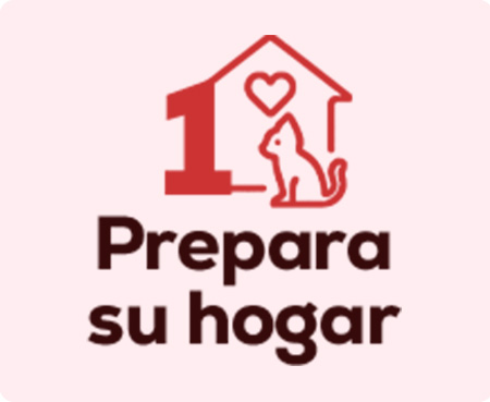 Prepara el hogar para la llegada del nuevo gatito
