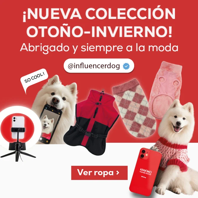 Nueva colección Otoño-Invierno: Abrigado y siempre a la moda