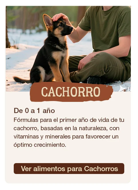 True Origins para cachorros