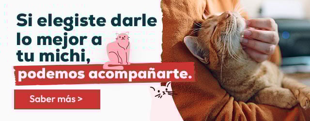 Familias multiespecies: Te acompañamos con los mejores consejos