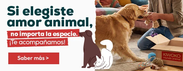 Familias multiespecies: Te acompañamos con los mejores consejos