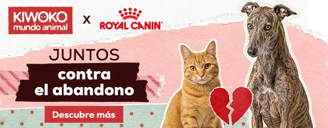 Juntos contra el abandono