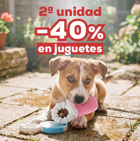-40% en la 2ª unidad en selección de juguetes inteligentes para perro
