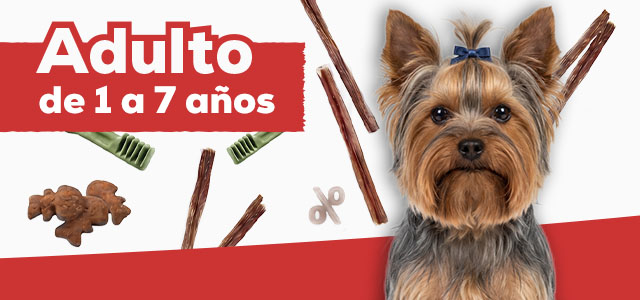 Snacks para perro adulto de 1 a 7 año