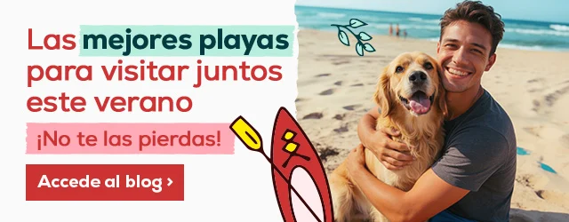 Las mejores playas para visitar juntos este verano