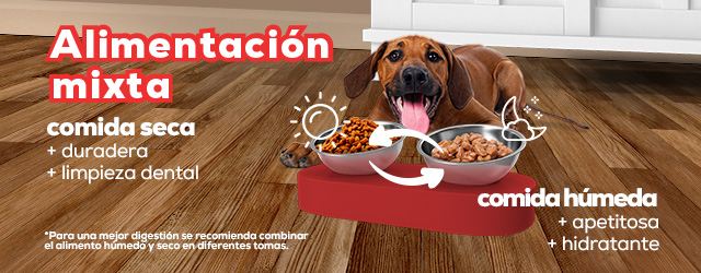 Post Blog Beneficios alimentación mixta mascotas