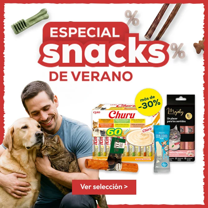 Elige su snack favorito