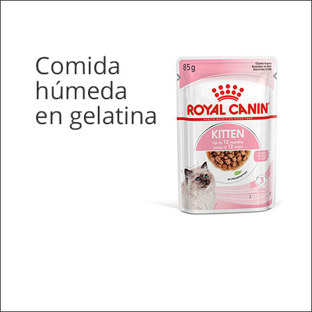 Royal Canin Kitten sobre comida húmeda en gelatina