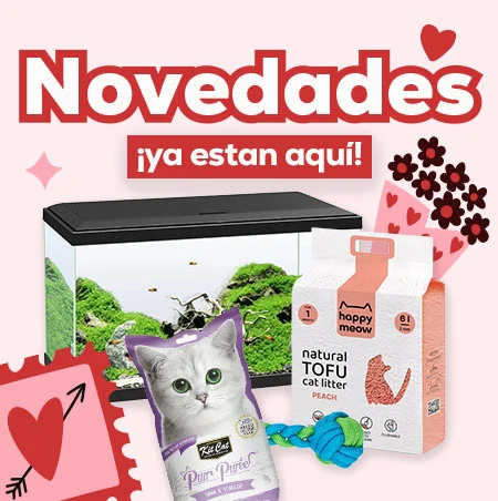 Descubre todas las novedades de Febrero