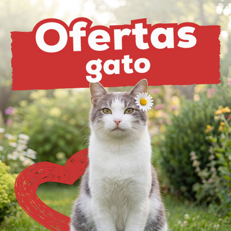 Ofertas para gato