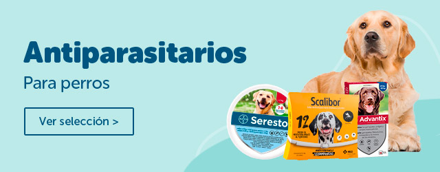 Antiparasitarios Perro