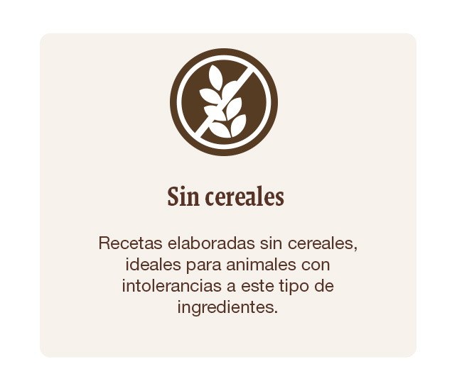 Recetas elaboradas sin cereales, ideales para animales con intolerancias