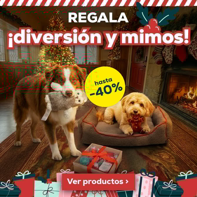 Tienda de navidad. Encuentra el regalo perfecto. Hasta -40%