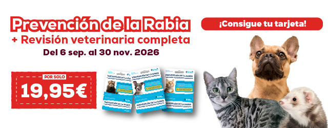 Prevención de la rabia + revisión veterinaria completa