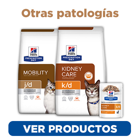 Una nutrición clínica para gatos con enfermedades comunes (y no tan comunes) 