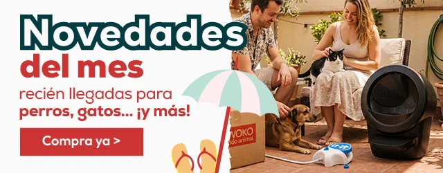 Descubre todas las novedades de Junio