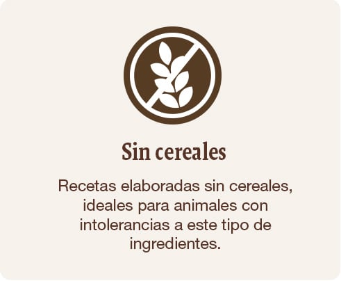 Recetas elaboradas sin cereales, ideales para animales con intolerancias