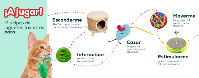 Educativo juguetes favoritos