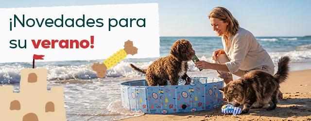 Descubre las novedades de Agosto