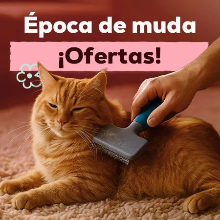 Ofertas para la época de muda