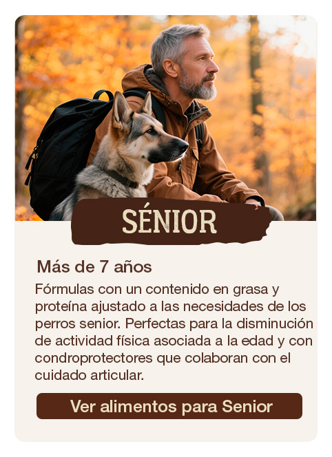 True Origins para perros sénior