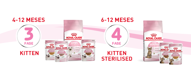 Gatito: 4 - 12 meses y Gatito esterilizado: 6 - 12 meses