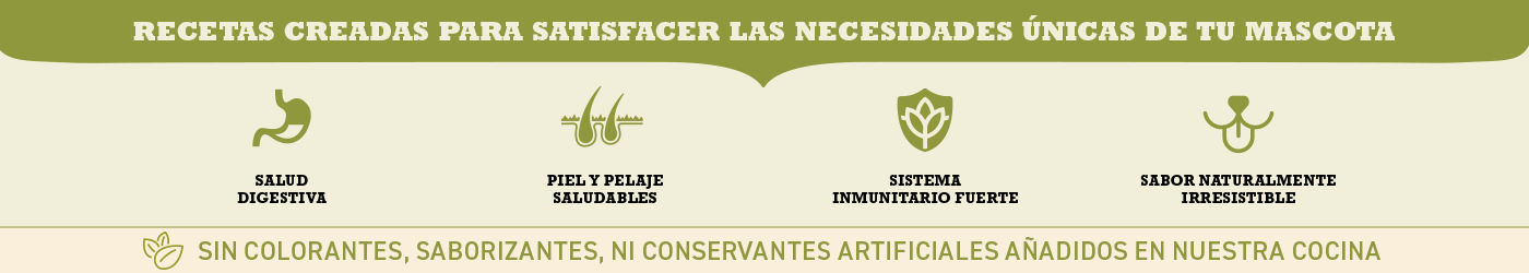 Recetas creadas para satisfacer las necesidades únicas de tu mascota