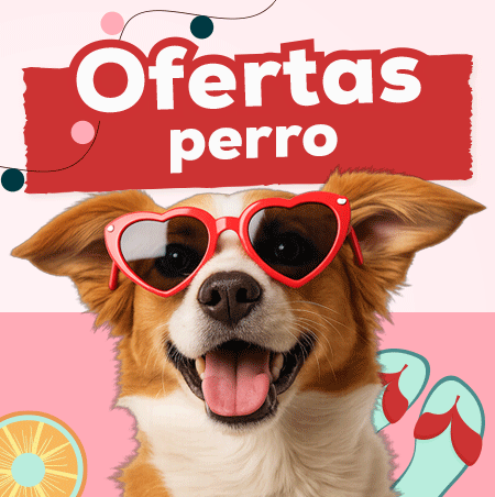 Ofertas para perro