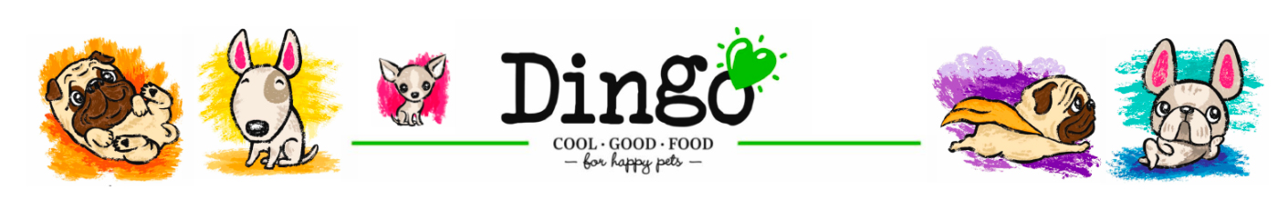 Dingo