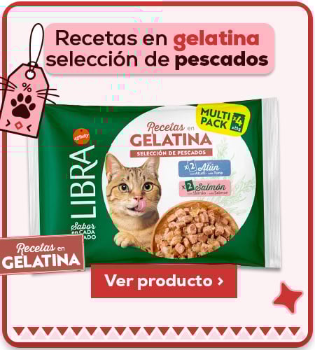 Recetas en gelatina selección de pescados