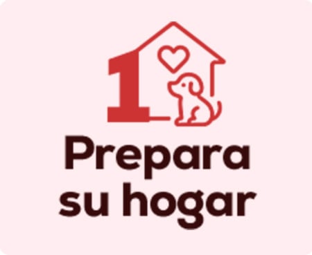Prepara el hogar para la llegada del nuevo cachorro