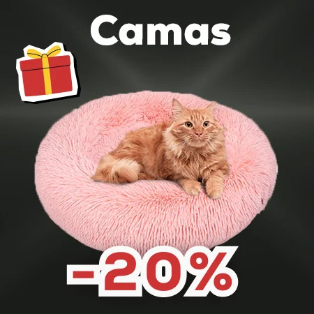 -20% en selección de camas