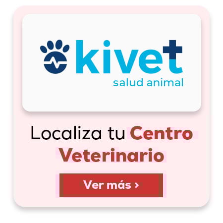 Kivet. Clínicas veterinarias. Pide cita Kivet. Clínicas veterinarias. Pide cita