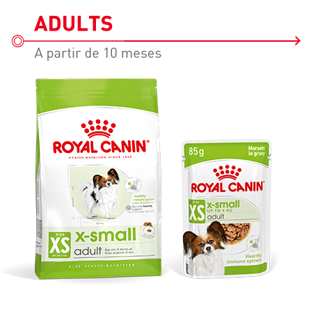 Pienso completo  y comida húmeda para perros adultos de razas muy pequeñas Royal Canin X-Small Adult