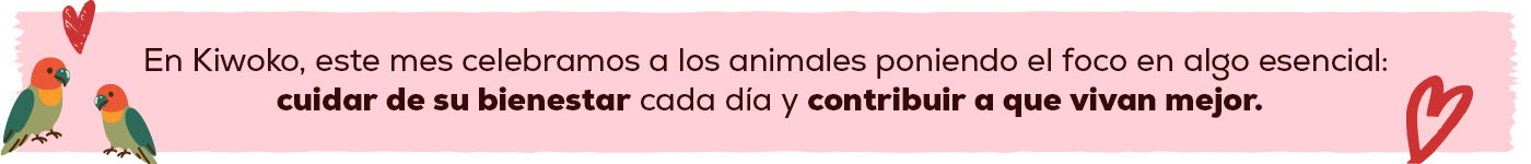 Celebramos el mes a los animales, en cuidar de su bienestar y contribuir a que vivan mejor