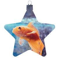 Peces
