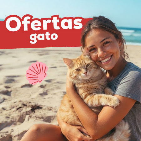 Ofertas para gato