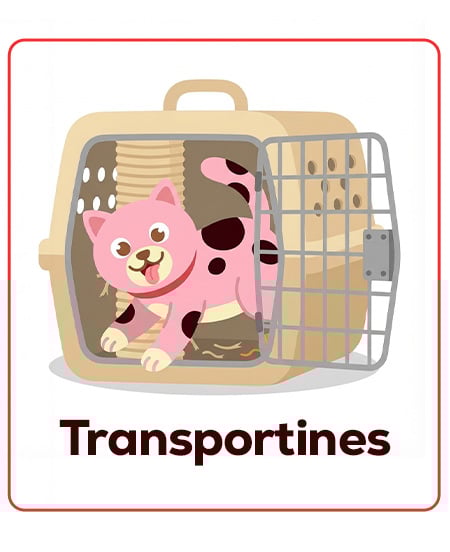 Transportines y viaje para salidas al veterinario o primeros viajes juntos