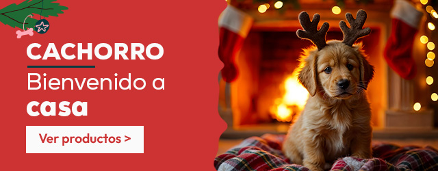 Cachorro: Bienvenido a casa