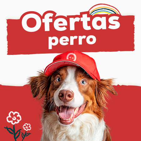 Ofertas Perro